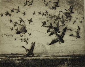 Image description is not available for DU1946.249